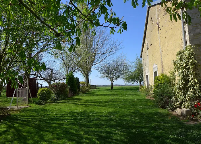 Blumereve